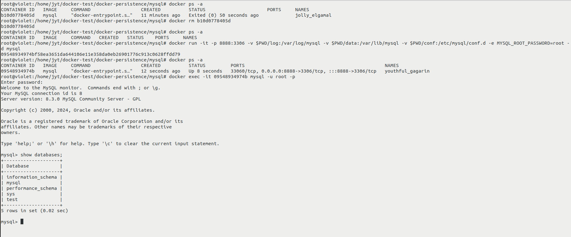 image-20240416105003258