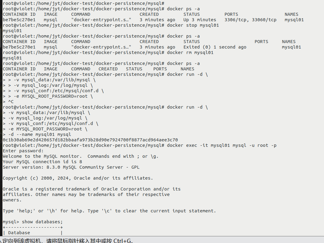 image-20240416114738123